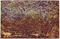 Paintings for Sale